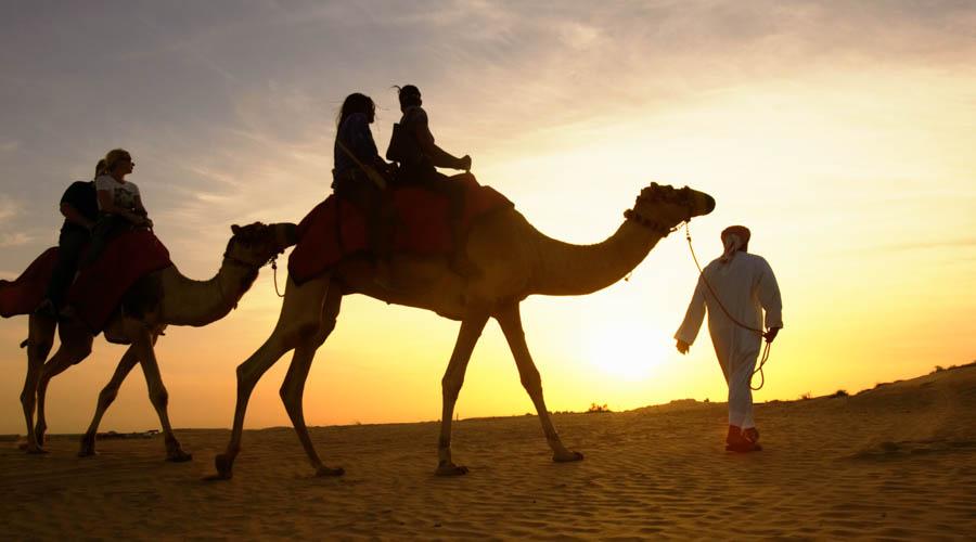 Arabian Court Camel ride