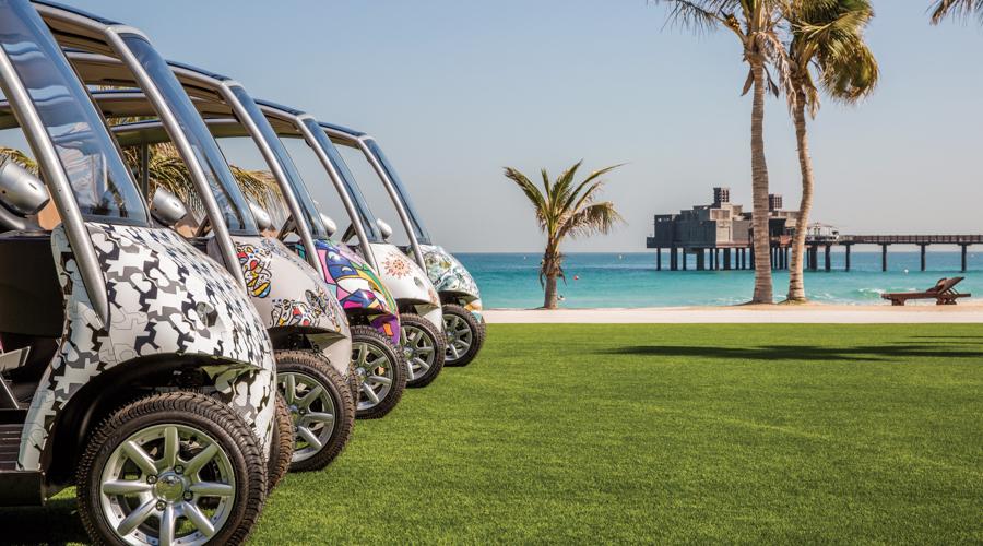 luxury buggy fleet