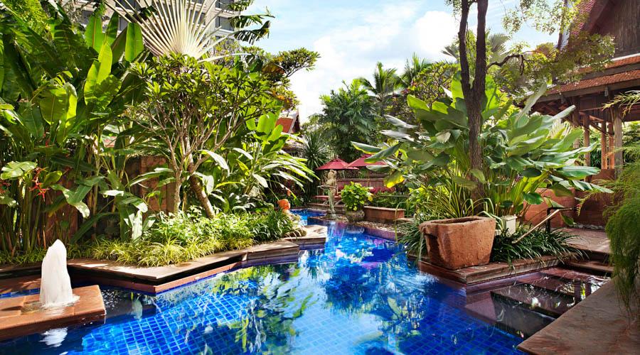 tropical garden swimming pool